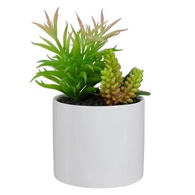 Northlight 9" Artificial Succulent Arrangement In White Ceramic Pot 4 Northlight 9" Artificial Succulent Arrangement In White Ceramic Pot - Image 2
