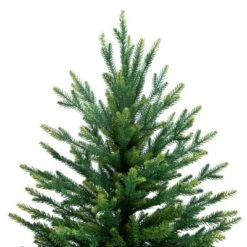 Northlight Real Touch™️ Two-Tone River Deer Pine Full Artificial Christmas Tree - 6.5' - Unlit -Home decor GUEST 008edead 16d9 456b 80f8 a65abe2ef074
