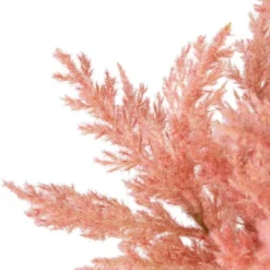 Northlight 12" Pink Cypress Artificial Plant In A Ceramic Pot 11 Northlight 12" Pink Cypress Artificial Plant In A Ceramic Pot -Home decor GUEST 03a672dc 583b 4dfc ae55 a7dc61a23e18