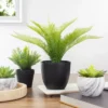 Northlight 12" Potted Green Artificial Pinus Plant 1 Northlight 12" Potted Green Artificial Pinus Plant -Home decor GUEST 0477da02 7922 4628 b955 52b832510895
