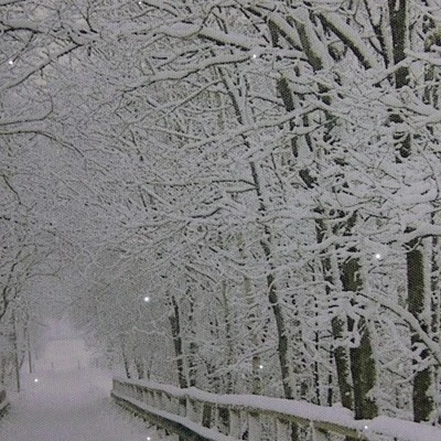 Northlight Large Fiber Optic Lighted Winter Wooden Bridge Canvas Wall Art 23.5" X 15.5" 3 Northlight Large Fiber Optic Lighted Winter Wooden Bridge Canvas Wall Art 23.5" X 15.5"