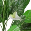 Northlight 47.5" Tropical Peace Lily Spathe Artificial Potted Plant - Green/White 2 Northlight 47.5" Tropical Peace Lily Spathe Artificial Potted Plant - Green/White -Home decor GUEST 0d0bd461 6526 46d4 b266 c52b7e2bd7c5