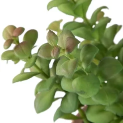 Northlight Real Touch™ Artificial Privet Plant In Vintage Milk Can Style Earthenware Pot - 14" 13 Northlight Real Touch™ Artificial Privet Plant In Vintage Milk Can Style Earthenware Pot - 14" -Home decor GUEST 0f8dac75 a606 4758 a838 f7f24347641b