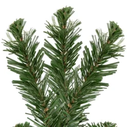 Northlight Blackwater Fir Medium Artificial Christmas Tree - 3' - Unlit 11 Northlight Blackwater Fir Medium Artificial Christmas Tree - 3' - Unlit -Home decor GUEST 106dd4fe fe9f 4e42 a647 fca57fcccd3b