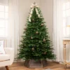 Northlight Real Touch™️ Two-Tone River Deer Pine Full Artificial Christmas Tree - 6.5' - Unlit 1 Northlight Real Touch™️ Two-Tone River Deer Pine Full Artificial Christmas Tree - 6.5' - Unlit -Home decor GUEST 13f1e0fa 04ce 4a2c a3b6 23a3f803c859
