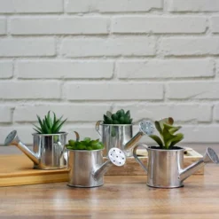 Northlight 4" Tropical Rose Succulent In Water Can Artificial Potted Plant - Green/Silver