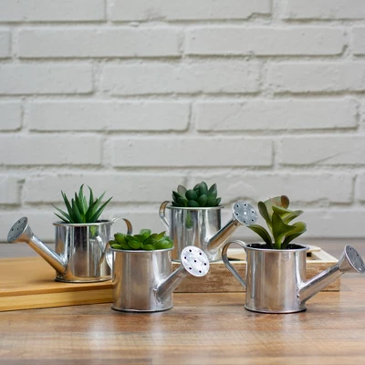 Northlight 4" Tropical Rose Succulent In Water Can Artificial Potted Plant - Green/Silver 3 Northlight 4" Tropical Rose Succulent In Water Can Artificial Potted Plant - Green/Silver