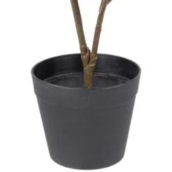 Northlight 26" Dark Green Artificial Potted Fiddle-Leaf Fig Plant 11 Northlight 26" Dark Green Artificial Potted Fiddle-Leaf Fig Plant -Home decor GUEST 29d5a747 a031 4651 8e67 5ce3cad6096b