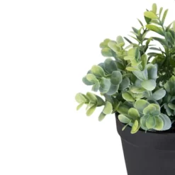 Northlight 10" Green Artificial Melia Azedarach Plant In Black Pot -Home decor GUEST 2af5ee98 f287 4cb9 a27e d2a616a5cd68