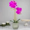 Northlight 14" Purple Artificial Orchid Plant With A Gray Stone Pot 1 Northlight 14" Purple Artificial Orchid Plant With A Gray Stone Pot -Home decor GUEST 2c521ab3 c489 4afa 8134 a89652a31377