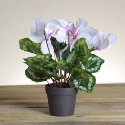 Northlight 12" Potted White Cyclamen Artificial Floral Arrangement