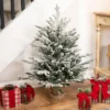 Northlight Real Touch™ Pre-Lit B/O Tamarack Pine Artificial Christmas Tree With Burlap - 3' Warm White LED 1 Northlight Real Touch™ Pre-Lit B/O Tamarack Pine Artificial Christmas Tree With Burlap - 3' Warm White LED -Home decor GUEST 2eb7b2f9 660c 459f 8eee 1f9ba4f33955