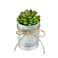 Northlight 7" Sprouting Rose Succulent Artificial Potted Plant - Green/Silver 6 Northlight 7" Sprouting Rose Succulent Artificial Potted Plant - Green/Silver -Home decor GUEST 3068cf94 62cf 41db a7a1 84d75342c406