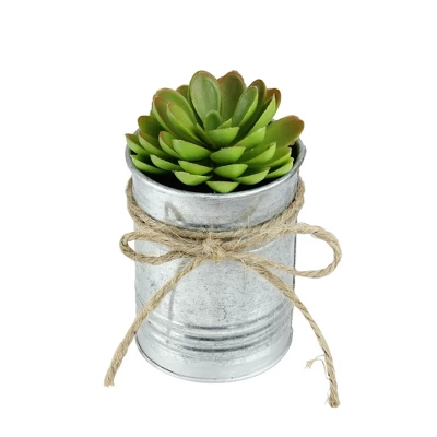 Northlight 7" Sprouting Rose Succulent Artificial Potted Plant - Green/Silver 4 Northlight 7" Sprouting Rose Succulent Artificial Potted Plant - Green/Silver - Image 2