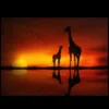 Northlight Safari Sunset LED Back Lit Giraffe And Baby Canvas Wall Art 11.75" X 15.75" -Home decor GUEST 32b94150 3b5a 497b bda8 77f6f0410d6a