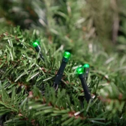 Northlight Battery Operated LED Christmas Lights - Green - 9.5' Green Wire - 20ct