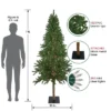 Northlight Pre-Lit Medium Alpine Artificial Christmas Tree - 7' - Clear Lights 2 Northlight Pre-Lit Medium Alpine Artificial Christmas Tree - 7' - Clear Lights -Home decor GUEST 356ac3b7 cd5a 402a a5fc f6cb1099d337