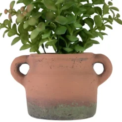 Northlight Real Touch™ Artificial Privet Plant In Vintage Milk Can Style Earthenware Pot - 14" 10 Northlight Real Touch™ Artificial Privet Plant In Vintage Milk Can Style Earthenware Pot - 14" -Home decor GUEST 3623ce0d 7f14 43b5 855c a384013d5087