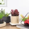 Northlight 7" Purple Artificial Succulent In Faux Wood Pot -Home decor GUEST 3d923c31 9a7e 4885 8615 b43136210eef