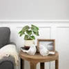 Northlight 10.25" Artificial Peperomia Plant In Two-Tone Ceramic Pot 1 Northlight 10.25" Artificial Peperomia Plant In Two-Tone Ceramic Pot -Home decor GUEST 3eb6707c 98c1 4279 9024 d037e3a521c9