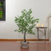 Northlight 47" Artificial Variegated Green And Ivory Leaf Ficus Potted Plant 2 Northlight 47" Artificial Variegated Green And Ivory Leaf Ficus Potted Plant -Home decor GUEST 4400052a d53f 474e 9918 17b4e1f34001