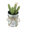 Northlight 6" Columnar Cactus Artificial Potted Plant - Green/Silver 1 Northlight 6" Columnar Cactus Artificial Potted Plant - Green/Silver -Home decor GUEST 480f4088 7b97 4110 aa32 b11c81e60463