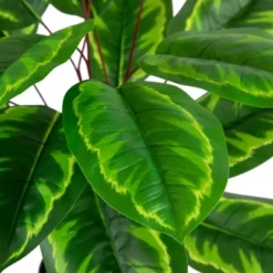 Northlight 30" Two-Tone Green Calathea Artificial Potted Plant 9 Northlight 30" Two-Tone Green Calathea Artificial Potted Plant -Home decor GUEST 4c7f3e0e e9a1 4a5a a17e d7d81a27eb2d