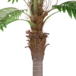 Northlight 8' Unlit Artificial Potted Phoenix Palm Tree 12 Northlight 8' Unlit Artificial Potted Phoenix Palm Tree -Home decor GUEST 5318f86b 1249 4073 be53 e3c279e7b7cd