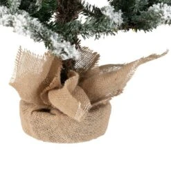 Northlight Real Touch™ Pre-Lit B/O Tamarack Pine Artificial Christmas Tree With Burlap - 3' Warm White LED 12 Northlight Real Touch™ Pre-Lit B/O Tamarack Pine Artificial Christmas Tree With Burlap - 3' Warm White LED -Home decor GUEST 5328657f 105a 42c8 ab25 e7f88c299a91