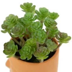 Northlight 5.5" Mini Artificial Succulent In Face Planter Pot 11 Northlight 5.5" Mini Artificial Succulent In Face Planter Pot -Home decor GUEST 55a0520b 8ac1 4bbc 9eb9 fa86aa194d20
