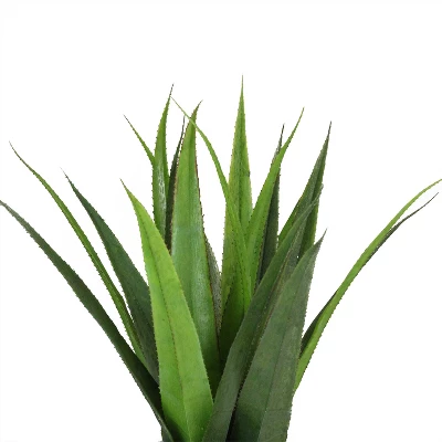 Northlight 17" Agave Succulent Artificial Potted Plant - Green/Gold 3 Northlight 17" Agave Succulent Artificial Potted Plant - Green/Gold