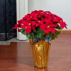 Northlight 28" Red Artificial Christmas Poinsettia With Gold Wrapped Pot 5 Northlight 28" Red Artificial Christmas Poinsettia With Gold Wrapped Pot -Home decor GUEST 595eee3d 366a 4535 9974 cef557797ff9