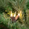 Northlight Mini Christmas Light Set - Clear - 4' Brown Wire - 10ct -Home decor GUEST 5a06ba21 866f 4d2b 983b 0f152cb9f4c4