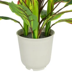 Northlight 25" Dracaena Artificial Potted Plant - Green/White -Home decor GUEST 5cf2fd2c 11ba 457c b1fa e2f778c17b32