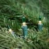 Northlight Mini Christmas Light Set - Clear With Green Tips - 20.25' Green Wire - 100ct 1 Northlight Mini Christmas Light Set - Clear With Green Tips - 20.25' Green Wire - 100ct -Home decor GUEST 5ff04b9e ac13 4bd9 b066 324fc1e22331