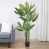 Northlight 59" Artificial Wide Leaf Green Dieffenbachia Potted Plant 2 Northlight 59" Artificial Wide Leaf Green Dieffenbachia Potted Plant -Home decor GUEST 614fab08 167f 4cdf 9fb5 fc548b26a3e5