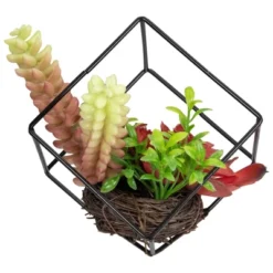 Northlight 5.5" Artificial Succulent Arrangement In Black Metal Wire Frame 8 Northlight 5.5" Artificial Succulent Arrangement In Black Metal Wire Frame -Home decor GUEST 68e0c154 15db 4cca 9a11 5dc80a312120