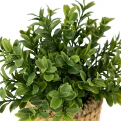 Northlight 7" Artificial Milan Leaf Bush In Rattan Basket 12 Northlight 7" Artificial Milan Leaf Bush In Rattan Basket -Home decor GUEST 6c6d29b2 2448 4172 9352 5c61221e93d5