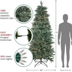 Northlight Real Touch™️ Pre-Lit Washington Frasier Fir Slim Artificial Christmas Tree - 7.5' - Clear Lights 13 Northlight Real Touch™️ Pre-Lit Washington Frasier Fir Slim Artificial Christmas Tree - 7.5' - Clear Lights -Home decor GUEST 6c7072f5 8401 43ab 9e4b d2dc8cb5368c