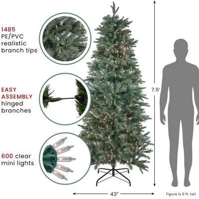 Northlight Real Touch™️ Pre-Lit Washington Frasier Fir Slim Artificial Christmas Tree - 7.5' - Clear Lights 7 Northlight Real Touch™️ Pre-Lit Washington Frasier Fir Slim Artificial Christmas Tree - 7.5' - Clear Lights - Image 5