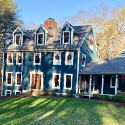 Northlight 24" Unlit Canadian Pine Artificial Christmas Wreath 9 Northlight 24" Unlit Canadian Pine Artificial Christmas Wreath -Home decor GUEST 6cca1dfc a278 43b6 ab26 36d525bf9ff4