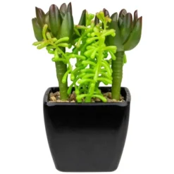 Northlight 6" Potted Green Artificial Succulent Arrangement 11 Northlight 6" Potted Green Artificial Succulent Arrangement -Home decor GUEST 7047a777 7b19 417f 8e92 9b4b2a6a2f3a