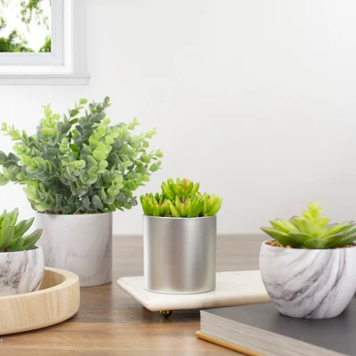 Northlight 4.75" Potted Red And Green Artificial Sedum Succulent 3 Northlight 4.75" Potted Red And Green Artificial Sedum Succulent