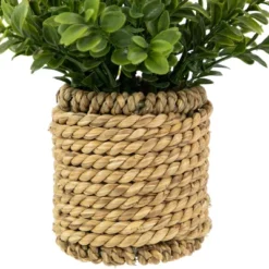 Northlight 7" Artificial Milan Leaf Bush In Rattan Basket 11 Northlight 7" Artificial Milan Leaf Bush In Rattan Basket -Home decor GUEST 72c6ad08 0dfa 4065 9297 3a7e3ce7e1fa