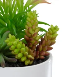 Northlight 9" Artificial Succulent Arrangement In White Ceramic Pot 9 Northlight 9" Artificial Succulent Arrangement In White Ceramic Pot -Home decor GUEST 72f03bfb 761e 465a 809e e30dbb9e32ee