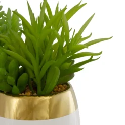 Northlight 6.5" Potted Mixed Artificial Succulent Arrangement -Home decor GUEST 73b2c1c8 dbbb 4870 963b 22d6a22f5291
