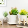 Northlight 9" Artificial Succulent Arrangement In White Ceramic Pot -Home decor GUEST 747fcf09 90c8 4e04 9d4a 8f63ba50db6f