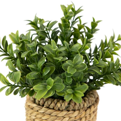 Northlight 7" Artificial Milan Leaf Bush In Rattan Basket 5 Northlight 7" Artificial Milan Leaf Bush In Rattan Basket - Image 3