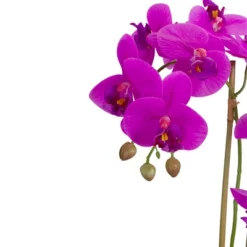 Northlight 14" Purple Artificial Orchid Plant With A Gray Stone Pot -Home decor GUEST 7b10d242 0e5a 4f3e 8063 8677def242a1