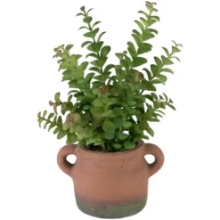 Northlight Real Touch™ Artificial Privet Plant In Vintage Milk Can Style Earthenware Pot - 14" 12 Northlight Real Touch™ Artificial Privet Plant In Vintage Milk Can Style Earthenware Pot - 14" -Home decor GUEST 7bb5343f 410d 43a4 a6ac 409a8d669a88
